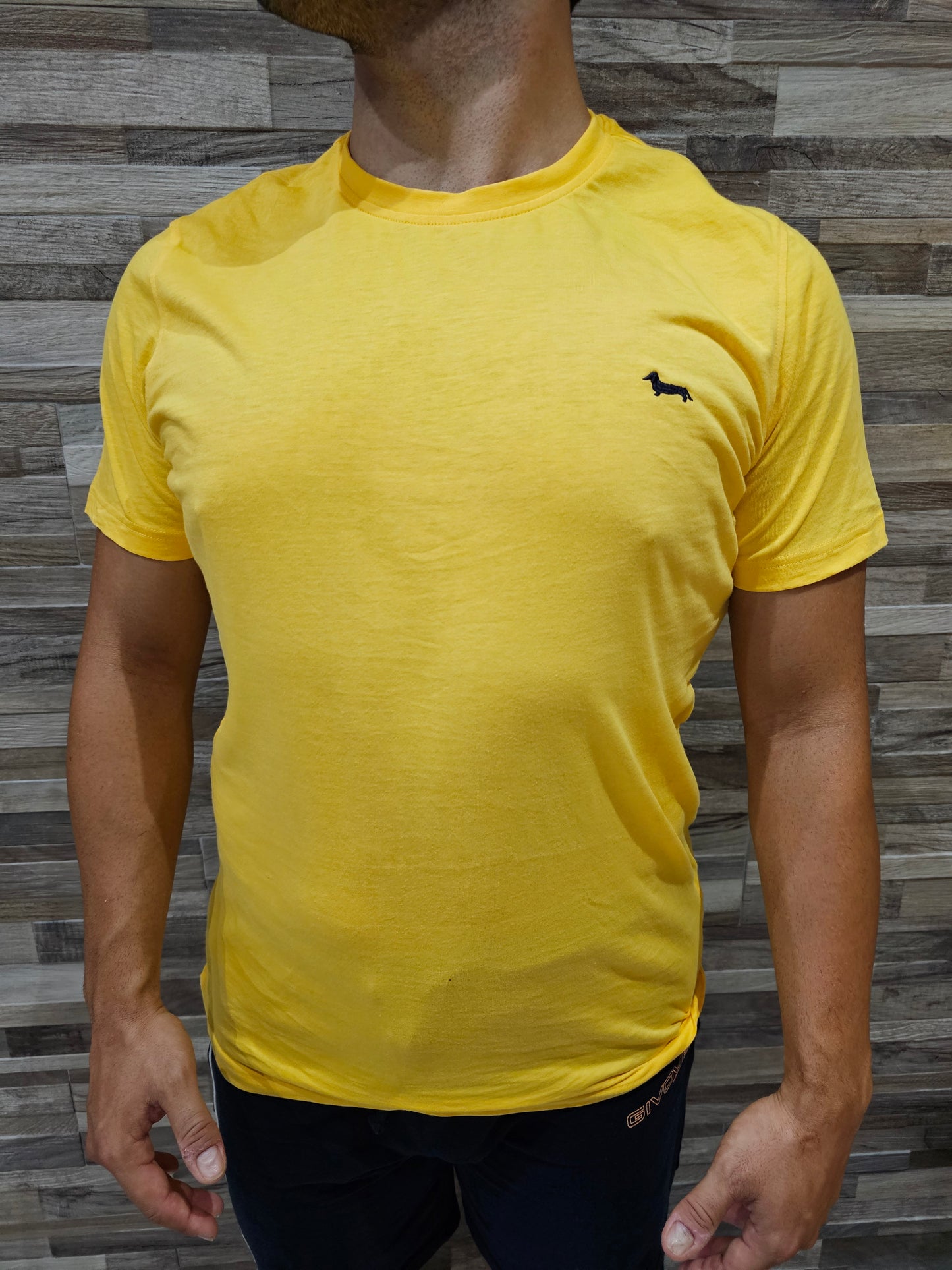 Harmont & Blaine T-Shirt